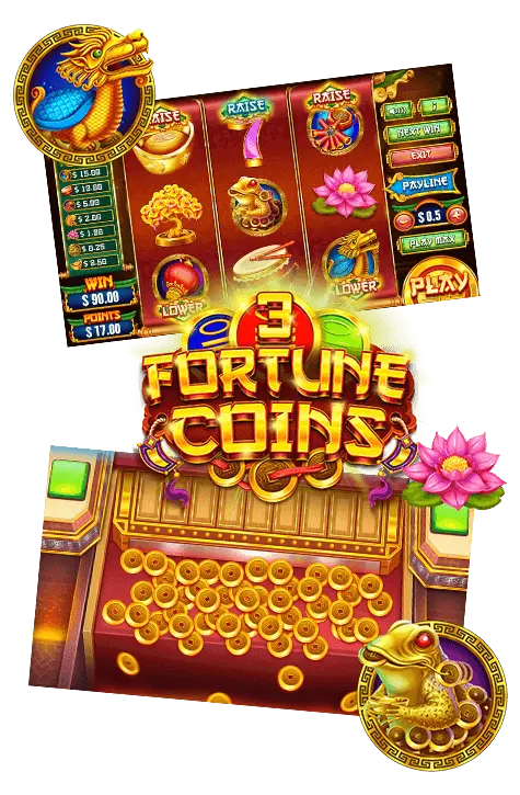 3 Fortune Coin